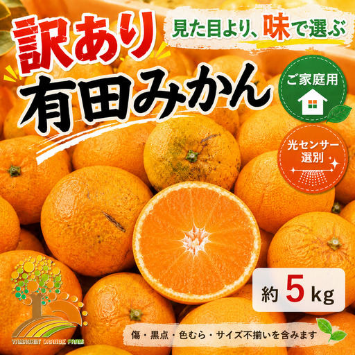 【先行受付】【訳あり】有田みかん 5kg ｜ みかん みかん みかん みかん みかん