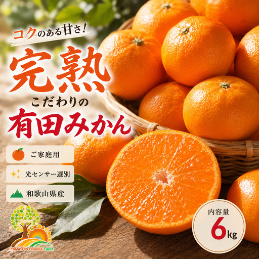 有田みかん こだわりの完熟 6kg＋150g(傷み補償分) ｜ みかん