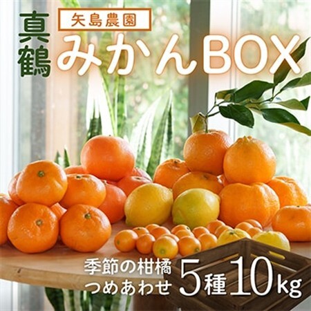 みかん色々♪ 季節の柑橘詰合せ10kgいろんな種類が一箱に詰まった楽しいみかんBox【先行受付】【1531525】