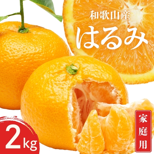 【先行予約】家庭用 訳あり はるみ 和歌山 有田 2S～3Lサイズ混合 2kg【1月下旬～3月下旬までに順次発送予定】/ みかん フルーツ 果物 くだもの 蜜柑 柑橘【ktn049A】 