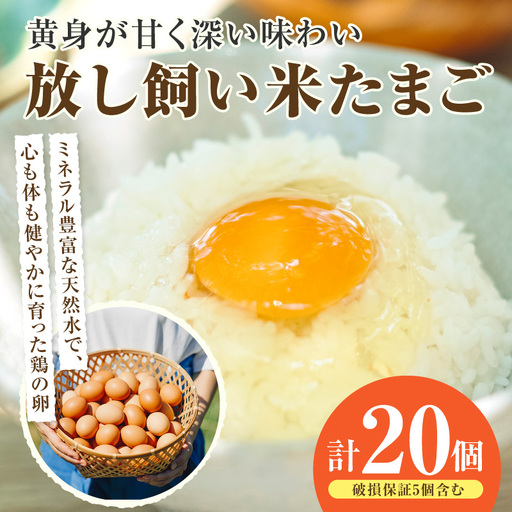 放し飼い米たまご15個+5個保証（計20個）農家直送 新鮮 卵 タマゴ 赤卵 玉子 鶏卵 朝食 夕食 夜食 朝ごはん たまご焼き オムレツ 卵ご飯 料理 濃厚 飼料にこだわった 卵かけご飯 米たまご 生卵 大容量 お取り寄せ 愛知県 常滑市