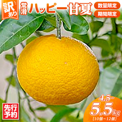 【先行予約】【訳あり】常滑ハッピー甘夏 4.5～5.5kg（10個～12個）