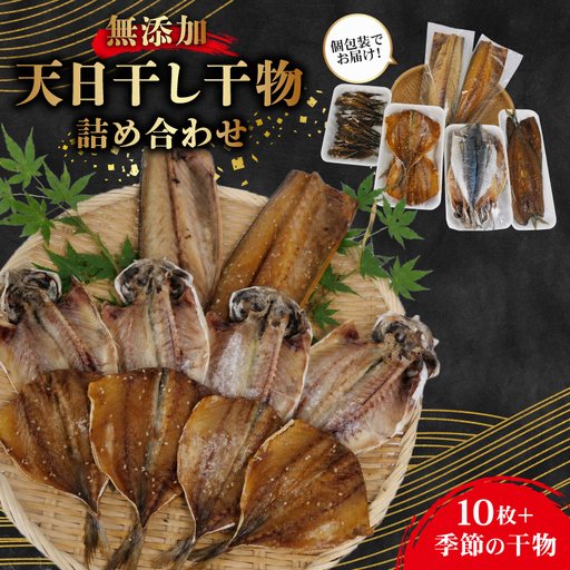 干物 詰め合わせ セット 10枚 + 季節のひもの 干物