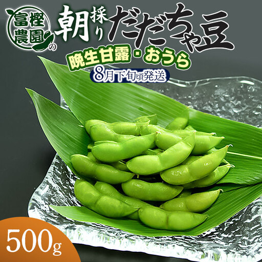 [令和8年産先行予約] 富樫農園の朝採りだだちゃ豆[8月下旬発送]500g 晩生甘露・おうら K-812