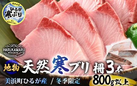 [先行予約]天然!地物!ひるがの寒ぶり 柵3本 [合計800g以上][2027年1月中旬以降順次発送予定]寒鰤 [m36-b019]