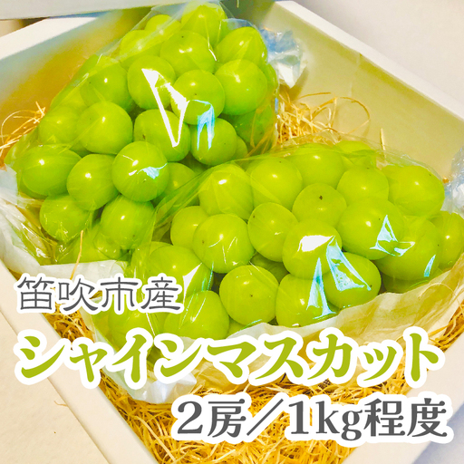 【2026年発送★先行予約】こだわりの逸品！甘さと香り際立つ山梨県産シャインマスカット2房(合計1kg程度) 229-001-26y