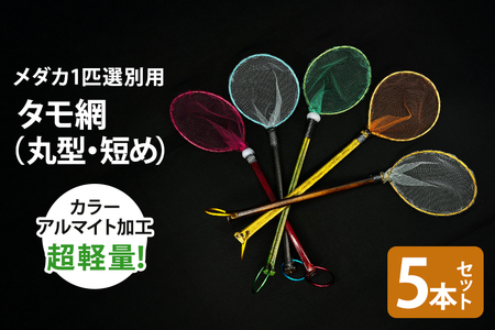 メダカ1匹選別用 タモ網（丸型・短め） 5本セット メダカ タモ 網 セット めだか タモ網 手作り 天然素材 高品質 軽量 耐久 飼育 83-H
