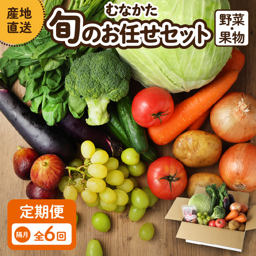 【偶数月お届け】むなかた旬のお任せセット(野菜・フルーツ) 9～11品 【JAほたるの里】_AM0174-00