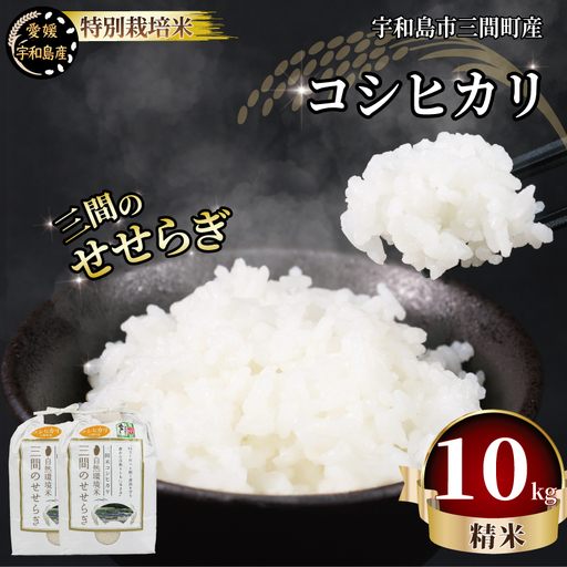 特別栽培米 三間のせせらぎ 三間町産 コシヒカリ 10kg 渡辺農園 米 ごはん お弁当 おにぎり ブランド米 ふっくら ツヤツヤ 甘い 粘り 美味しい 農家直送 産地直送 数量限定 国産 愛媛 宇和島 G028-117002