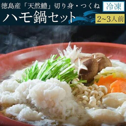 [お歳暮・贈答用・のし付き]冷凍ハモ鍋セット(2〜3人前)(徳島産「天然鱧」切り身・つくね)