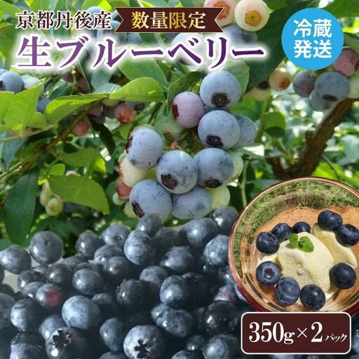 【数量限定100】国産 京都丹後ブルーベリー 350g×2パック（2027年7月上旬～発送）｜ベリー