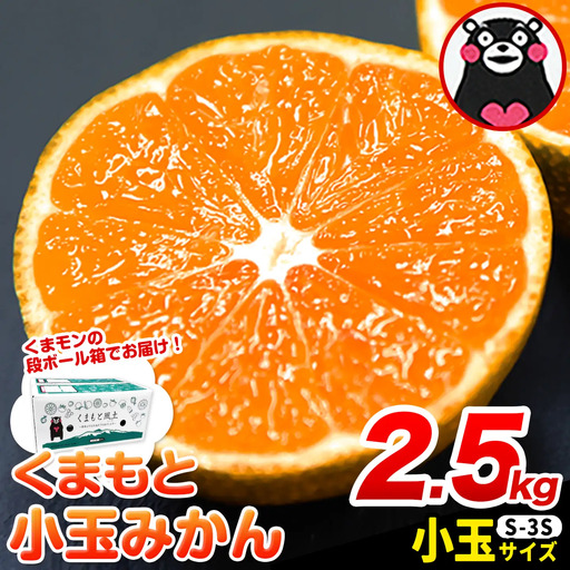 訳あり くまもと小玉みかん 約5kg みかん | 熊本県長洲町 | ふるさと