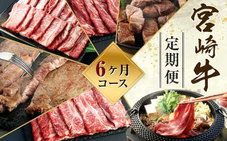 ＜ミヤチク 宮崎牛6ヶ月定期便＞お申込みの翌月下旬頃に第一回目発送（12月は中旬頃）【c992_mc_x4】 合計約3kg 和牛 定期 宮崎牛 新生活応援 卒業祝い 就職祝い 入学 卒業 お花見 引越し