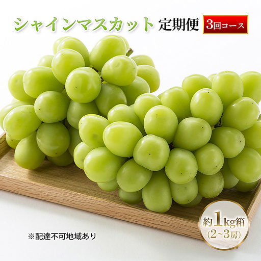 【定期便】【2026年先行予約】 ぶどう 岡山県産 シャインマスカット 1kg箱（各2～3房） 定期便 3回 《2026年10月中旬-12月上旬頃出荷》 葡萄 ブドウ 岡山県産 フルーツ 果物 数量限定