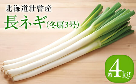 [2025年12月20日頃よりお届け]長ネギ(冬扇3号)約4kg