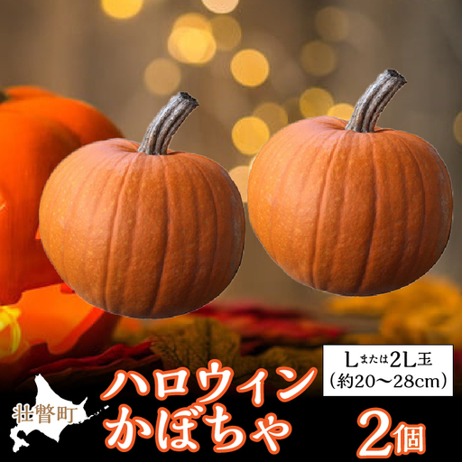＜2026年10月初旬よりお届け＞ハロウィンかぼちゃ Lまたは2Lサイズ玉2個 SBTL015