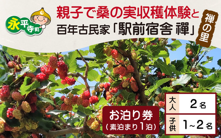 [期間限定6月~7月]親子で桑の実収穫体験と禅の里百年古民家「駅前宿舎禪」お泊り券/ フルーツ狩り 北陸観光 福井観光 おでかけ 家族旅行 永平寺 福井 北陸 [F-046001]