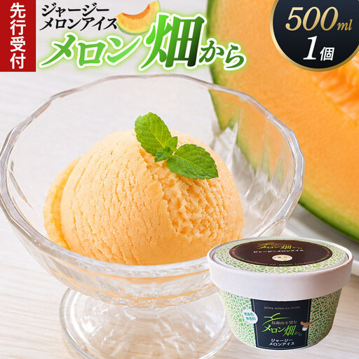 《先行受付》ジャージーメロンアイス「メロン畑から」500ml×1個