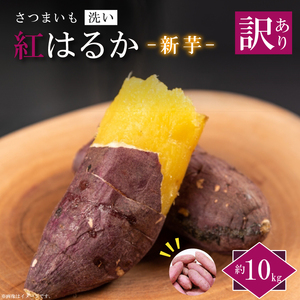 訳あり★[2026年9月より順次発送]農産物直売所「やさいの声」紅はるか 新芋 洗い 約10kg|訳ありさつまいも サツマイモ 紅はるか 洗い 行方市 ふるさと納税(EK-10)