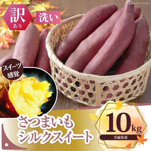 [先行予約][2026年11月より順次発送開始][訳あり]さつまいも シルクスイート 約10kg|さつまいも 芋 お芋 わけあり 訳あり シルクスイート タネのハシモト 茨城県 行方市(BS-22)