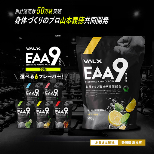 サプリ 筋トレ VALX EAA9 500g パウダー サプリ スポーツドリンク風味