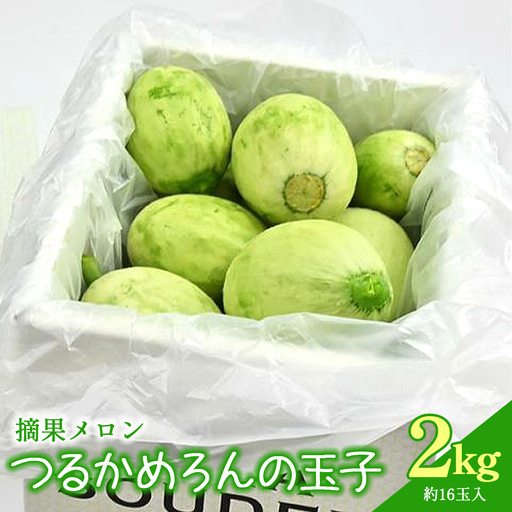 メロン つるかめろんの玉子(摘果メロン) 2kg 約16玉 - マスクメロン めろん フルーツ くだもの 果物 おやつ おつまみ アレンジ 料理 お漬物 お漬け物 炒め物 天ぷら 子メロン 小さい 産地直送 篤農 tn-0015