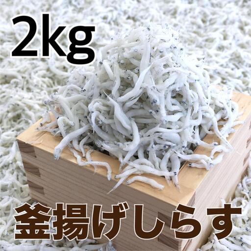 釜揚げしらす2kg(500g×4パック) / シラス 厳選 小分け 冷蔵便【dig014A】