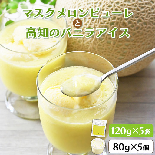  メロンピューレ(120g×5袋) バニラアイス(80ｇ×5個) アイス tn-0021