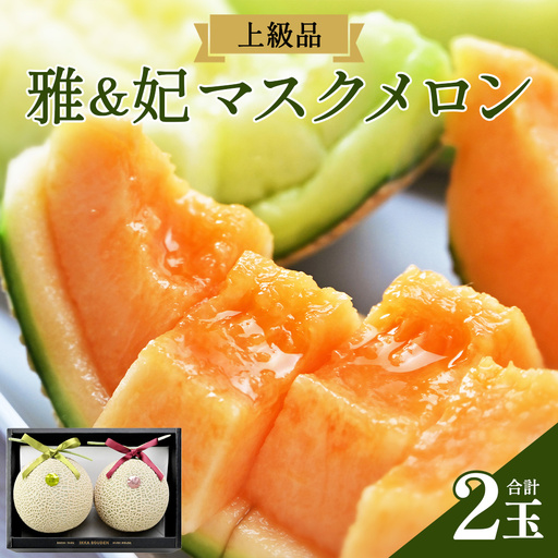 マスクメロン 2玉 食べ比べ メロン tn-0027