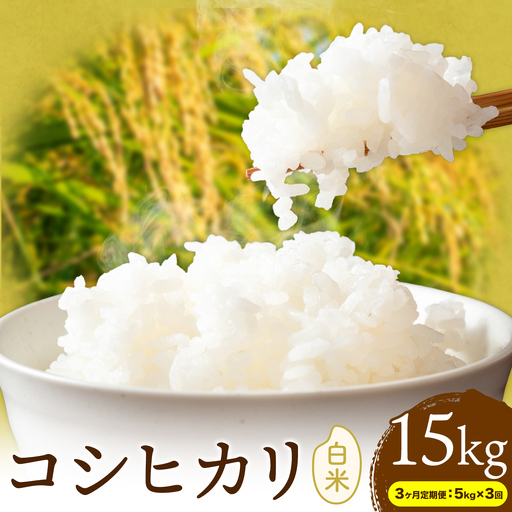 【3ヶ月定期便】R8年産米 米 白米 コシヒカリ 5kg 《お申込みの翌月から出荷》
