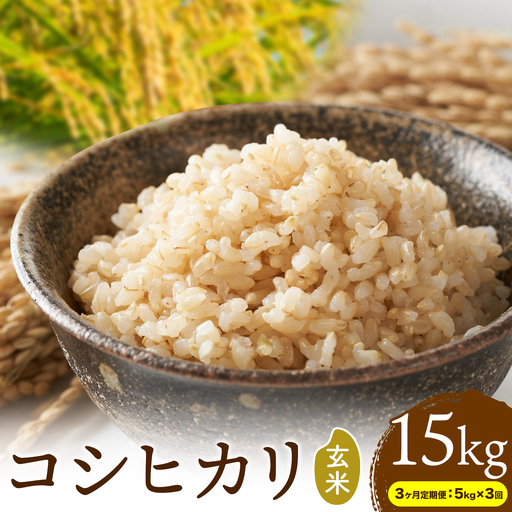 [3ヶ月定期便]R8年産米 米 玄米 コシヒカリ 5kg[お申込みの翌月から出荷]