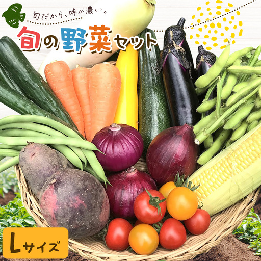 野菜 旬の野菜セット Lサイズ 約10〜11種
