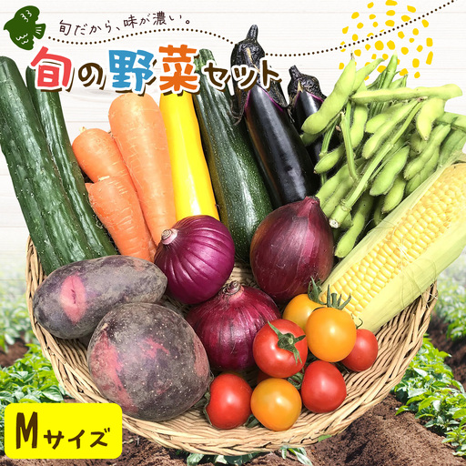 野菜 旬の野菜セット Mサイズ 約8〜9種
