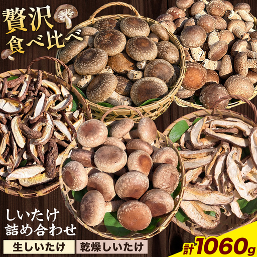 しいたけ きのこ 野菜 しいたけ詰め合わせセット 計1060g [30日以内に出荷予定(土日祝除く)]
