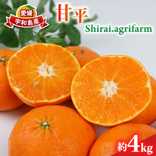 【甘平】 4kg Shirai.agrifarm 甘平 B020-115005