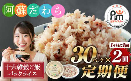 [定期便2ヶ月]阿蘇だわら 十六雑穀ごはん パックライス 160g×30パック 十六雑穀 雑穀 ごはん 米 香り 甘み 国産 定期便 お米