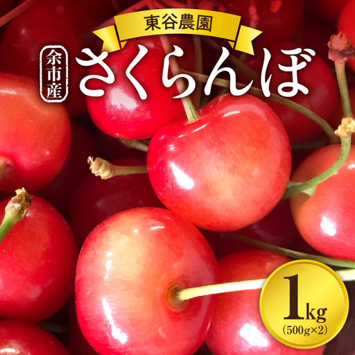 [先行予約:2027年初夏発送]さくらんぼ 毎年大好評!こだわりの東谷農園 余市産 さくらんぼ 1kg