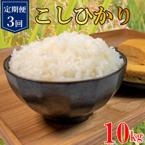 定期便 3回 コシヒカリ 無洗米 10kg 令和6年産 米 こめ ご飯 ごはん おにぎり 精米 無洗米 卵かけご飯 食品 備蓄 備蓄米 保存 防災 ギフト 贈答 プレゼント お取り寄せ グルメ 送料無料 徳島県 阿波市 須見商店