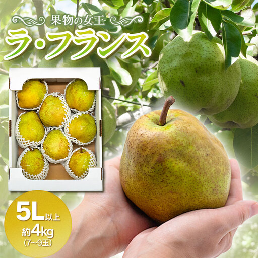 ラ・フランス(洋梨) 5Lサイズ以上 約4kg(7～9玉) 山形県鶴岡市産 令和8年産 長南農園