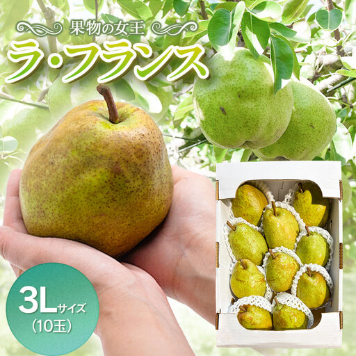 [令和8年産] ラ・フランス 3Lサイズ (10玉) 山形県鶴岡市産 長南農園