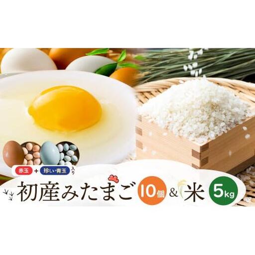初産みたまご 10個・米 約5kg |  生卵 たまご 玉子 鶏卵 初産みたまご 卵かけご飯 朝ごはん 玉子焼き 人気 長野県 塩尻市
