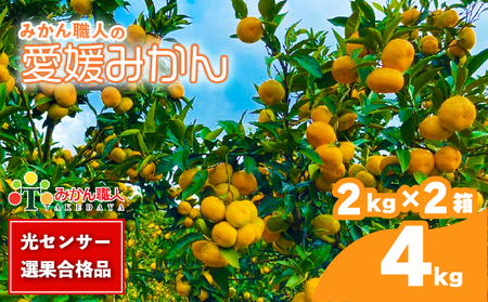 【愛媛みかん】 2kg 2箱 計4kg  国産みかん