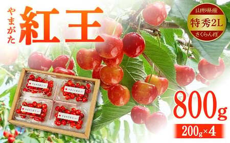 [2027年先行予約]山形県産 さくらんぼ やまがた紅王 特秀品 2Lサイズ 800g(200g×4)
