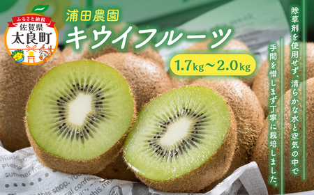 体が喜ぶ☆キウイフルーツ 1.7kg〜2kg [2026年12月上旬-2027年4月下旬発送] 浦田農園 キウイフルーツ キウイ フルーツ くだもの 果物 ミネラル豊富 太良町 国産 贈答用