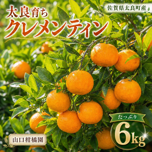 スペイン生まれのたら育ちクレメンティン 6kg クレメンティン みかん 柑橘 国産 オレンジ マンダリン 希少 ジューシー ギフト 贈り物 佐賀県 太良町 ND2x1【2026年12月上旬～2027年1月上旬発送予定】