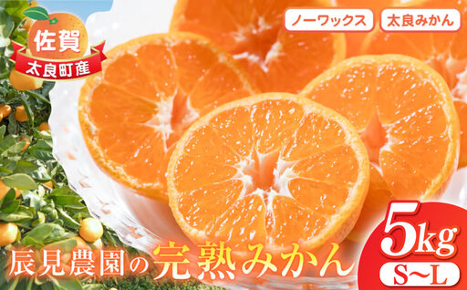 L90x1 辰見農園の完熟みかん ５kg みかん ミカン 蜜柑 温州みかん 完熟みかん 甘熟 柑橘 有機栽培 国産 こだわり ノーワックス 贈答品 産地直送 詰め合わせ 佐賀県産 太良町 【2026年10月下旬-2027年3月下旬発送予定】