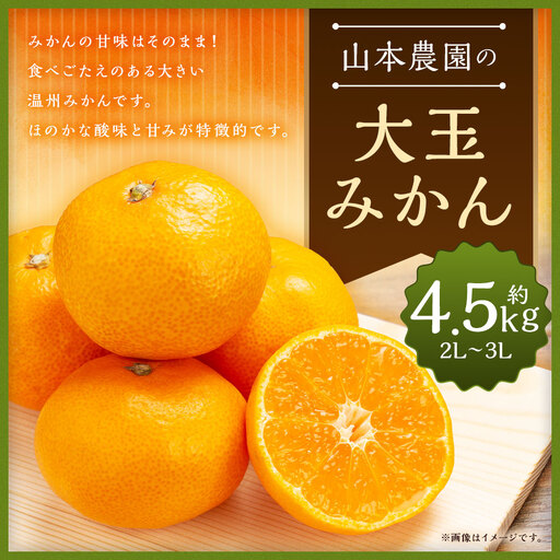 山本農園の大玉みかん 4.5kg 温州みかん 早生 温州 みかん ミカン 蜜柑 温州蜜柑 温州ミカン フルーツ くだもの 果物 ミネラル豊富 太良町 国産 贈答用 L14x1 【2026年11月下旬～2027年1月下旬】