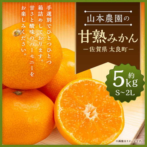 山本農園の甘熟みかん5kg みかん ミカン 蜜柑 温州みかん 完熟みかん 甘熟 柑橘 有機栽培 国産 佐賀県産 太良町 こだわり 贈答品 産地直送 詰め合わせ L13x1[2026年10月上旬〜2027年1月上旬]