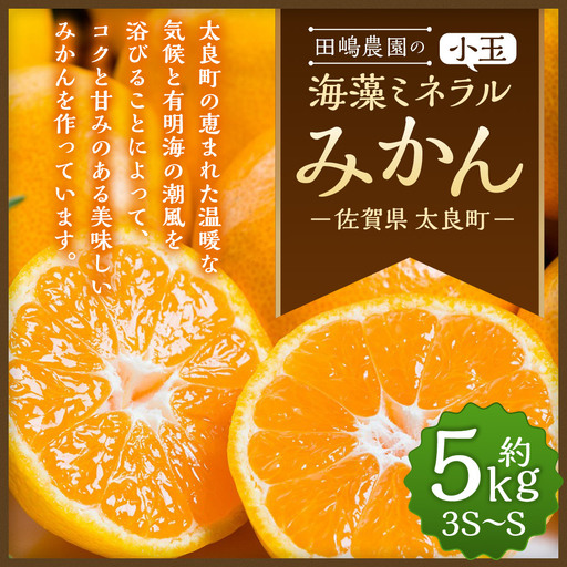 海藻ミネラル小玉みかん 5kg　みかん ミカン 蜜柑 たらみかん 太良みかん 温州みかん 完熟みかん 甘熟 柑橘 国産 こだわり 有機栽培 産地直送 贈答品 詰め合わせ 極甘 小玉 佐賀県産 太良町 L21x1 【2026年10月下旬～2027年1月上旬迄発送予定】