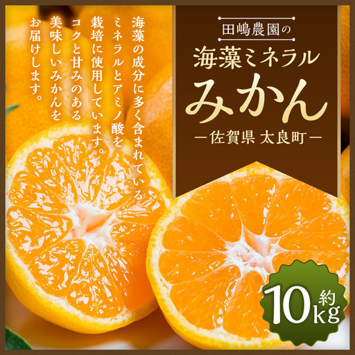 海藻ミネラルみかん 10kg　みかん ミカン 蜜柑 温州みかん 完熟みかん 甘熟 柑橘 日南 大浦 原口 石地 青島 有機栽培 国産 こだわり ノーワックス 贈答品 産地直送 詰め合わせ 佐賀県産 太良町 N40x1 【2026年10月下旬～2027年1月上旬迄発送予定】